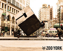 Zoo York