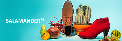Salamander