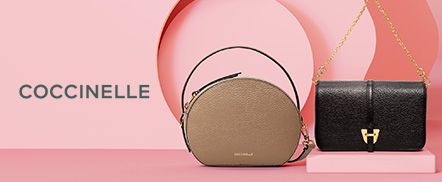 Coccinelle
