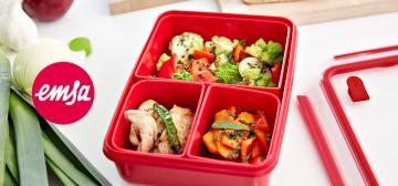 Emsa