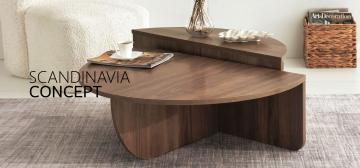 Scandinavia Concept