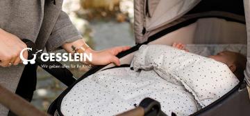Gesslein