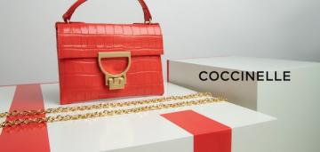 Coccinelle