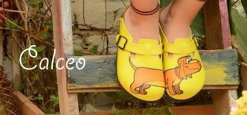 Calceo