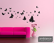 Ambiance Live