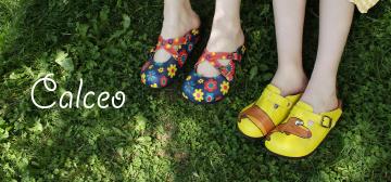 Calceo