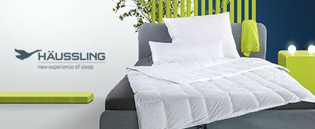 Häussling