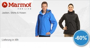 Marmot