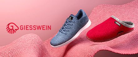 Giesswein
