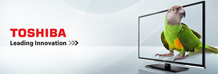 TOSHIBA