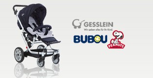 Gesslein