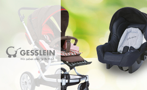 Gesslein