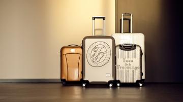 Inès de la Fressange