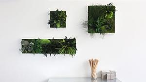 styleGREEN