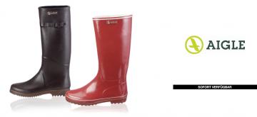 Aigle