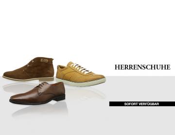 Herrenschuhe