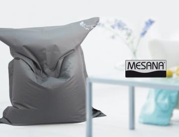 Mesana
