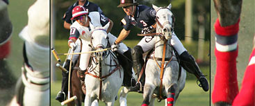 US POLO ASSN