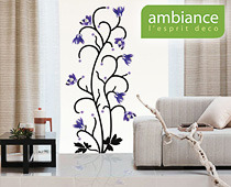 Ambiance Live