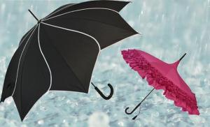 Blooming Brollies