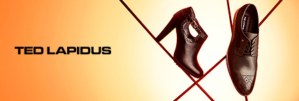 Ted lapidus