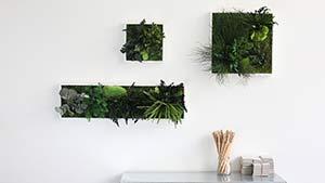 styleGREEN