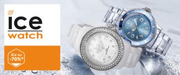 Ice-watch