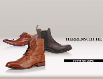 Herrenschuhe