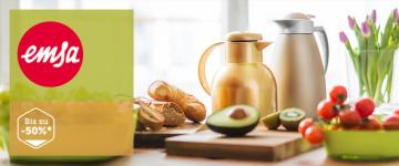 Emsa