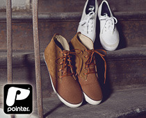Pointer
