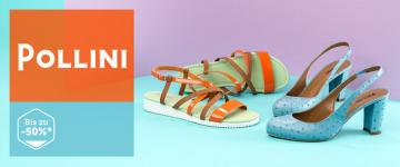 Pollini