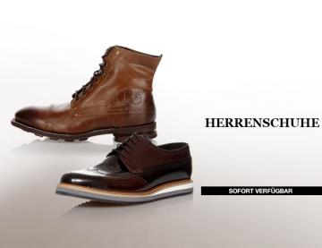 Herrenschuhe