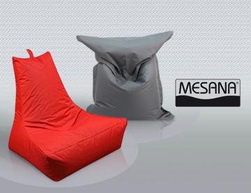 Mesana