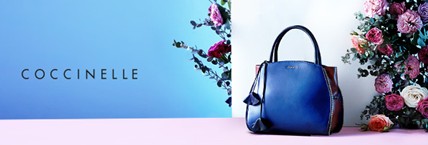 Coccinelle