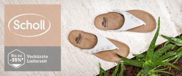 Scholl