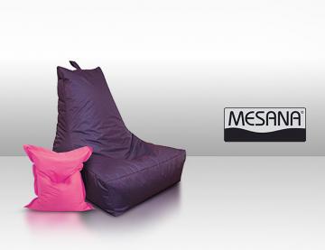 Mesana