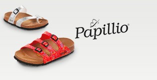 Papillio