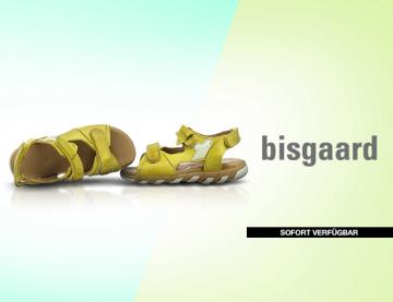 Bisgaard