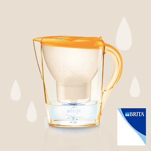 Brita Wasserfilter