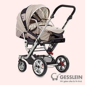 Gesslein