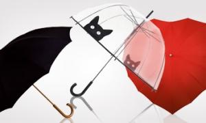 Le Monde Du Parapluie