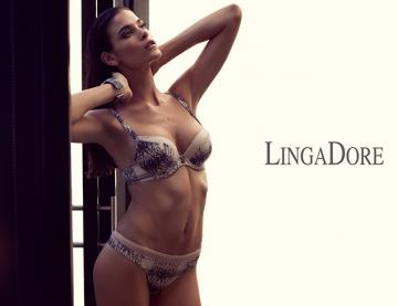 Lingadore