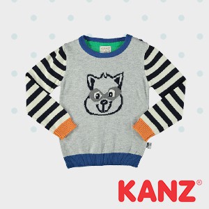 Kanz
