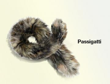 Passigatti