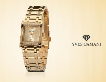 Yves Camani