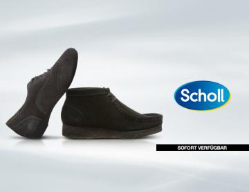 Scholl
