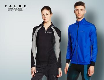 Falke
