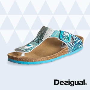 Desigual Shoes