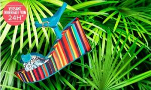 Desigual Shoes