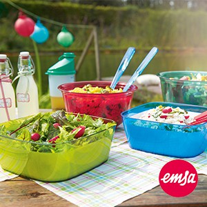 Emsa